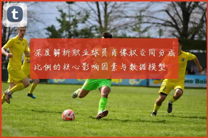 深度解析职业球员肖像权合同分成比例的核心影响因素与数据模型